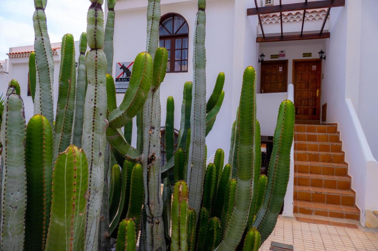 Las Bouganvillas 1 Bed Apartment In Costa Adeje Kültér fotó